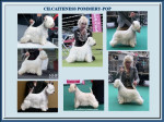 Ch.Caithness Pommery-pop World Ch.2011
