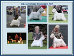 Ch.Caithness Pommery/pop World Ch.2011